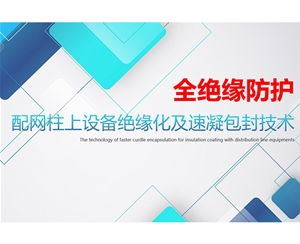 配网柱上设备全绝缘化（河北硅谷）